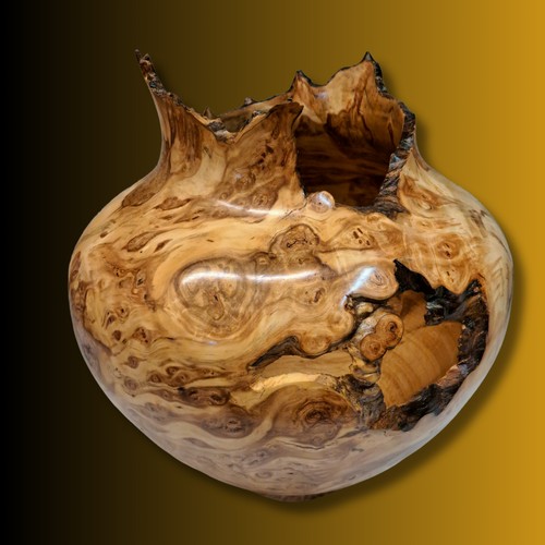 JW-228 Aspen Burl Hollow Woodturning 13.5x11 $1600 at Hunter Wolff Gallery